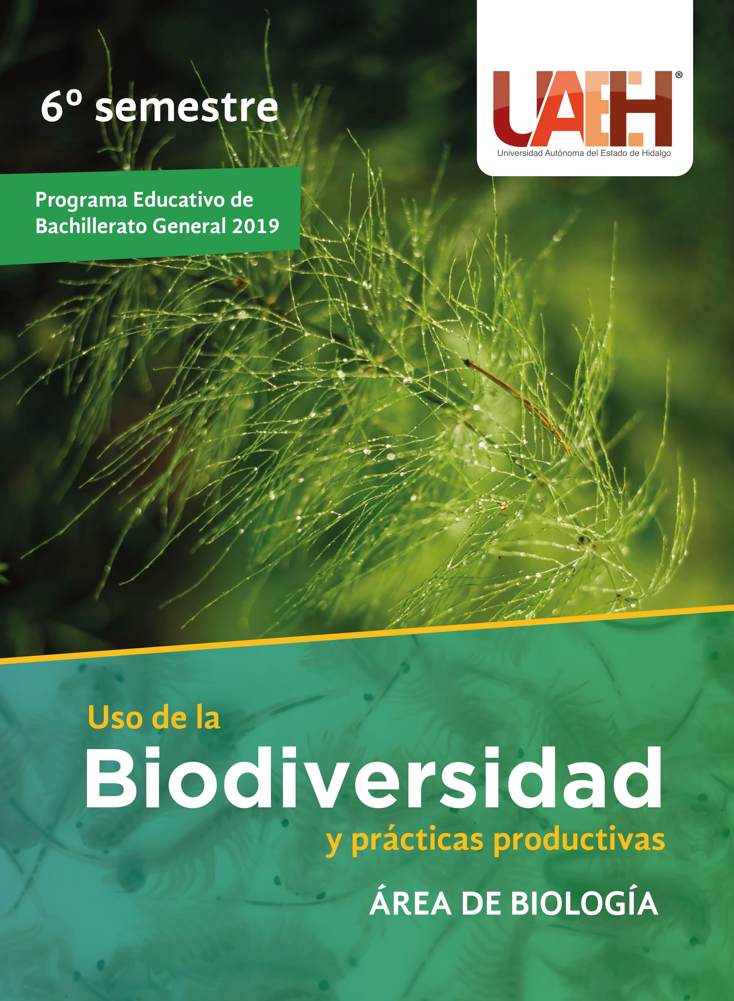 Uso de la biodiversidad y prácticas productivas 